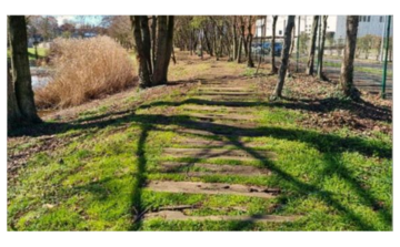 Area Verde "Campo Marzo"