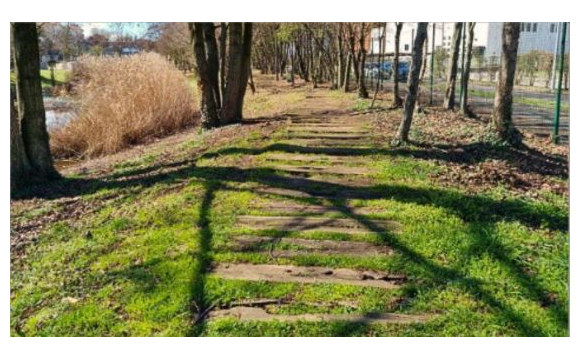 Immagine: Area verde