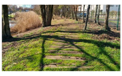 Immagine: Area verde