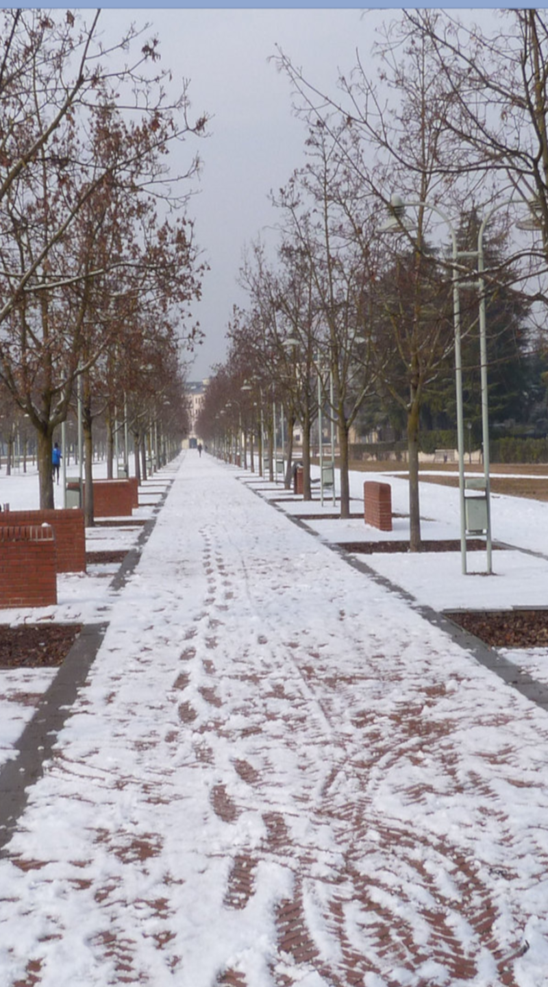 Immagine: "Campo Marzo"