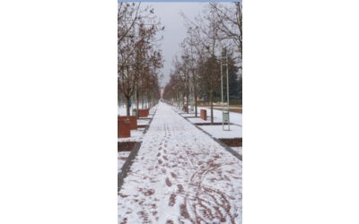 Immagine: "Campo Marzo"