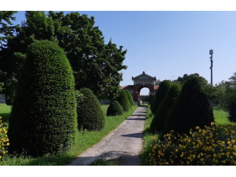 Immagine: Cimitero Acattolico