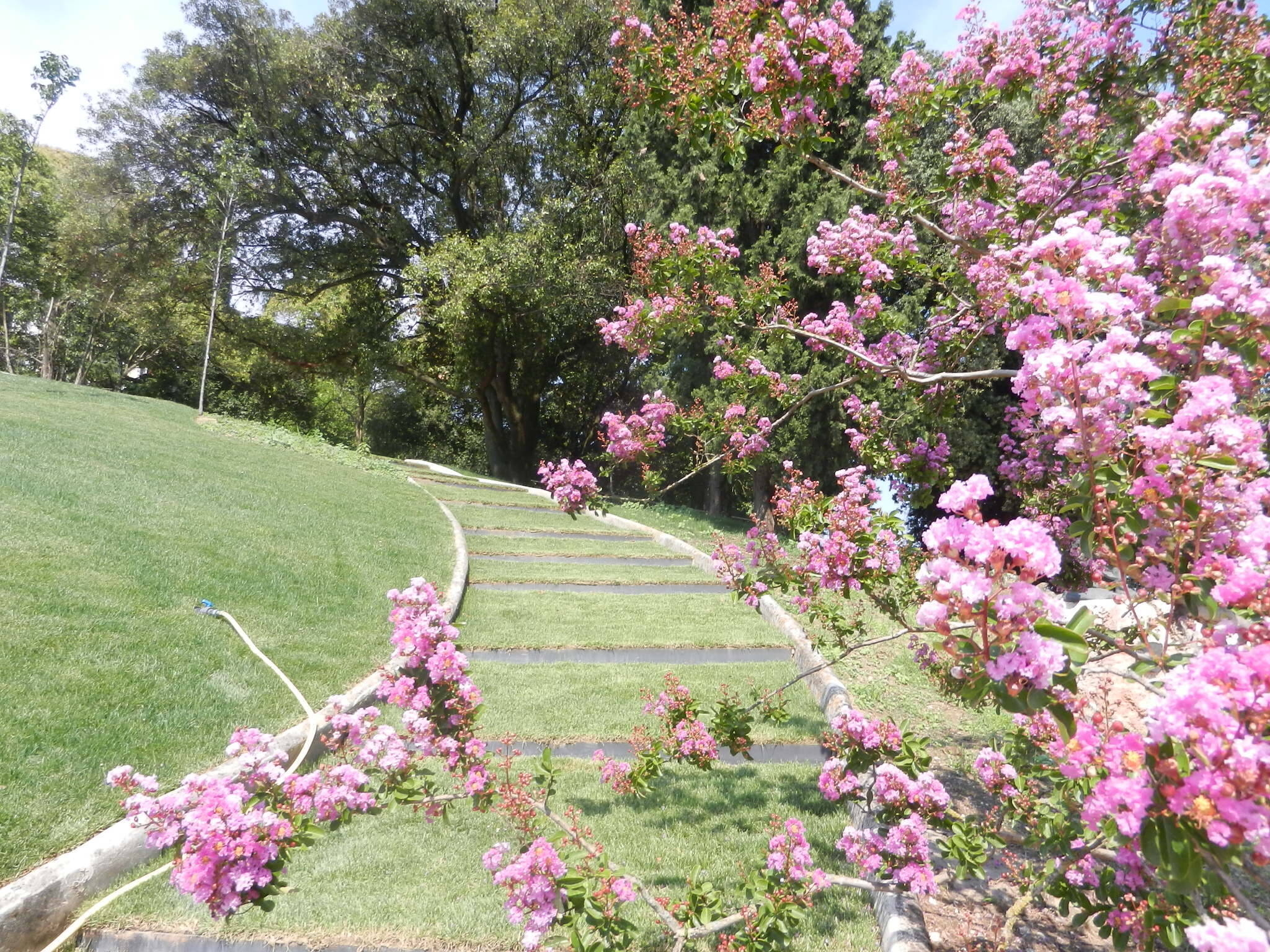Immagine: Giardino della Vittoria