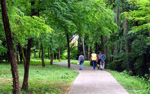 Immagine: Parco Astichello