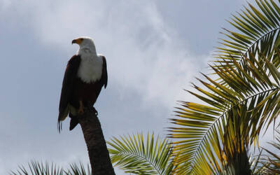 Immagine: africa insolita