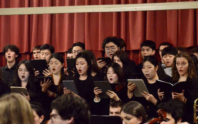 Immagine: Animali in musica