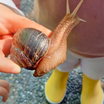 Immagine: Asilo nido Villaggio del Sole 