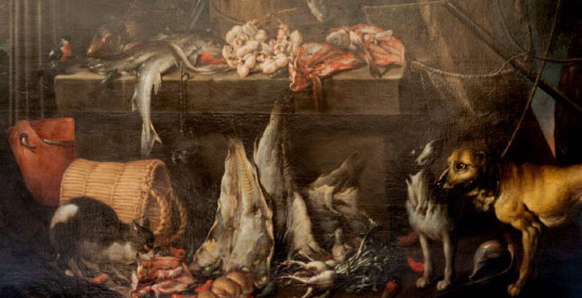 Immagine: Bacalà