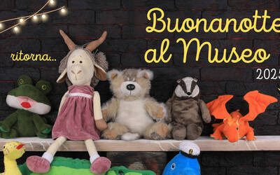 Immagine: Buonanotte al Museo