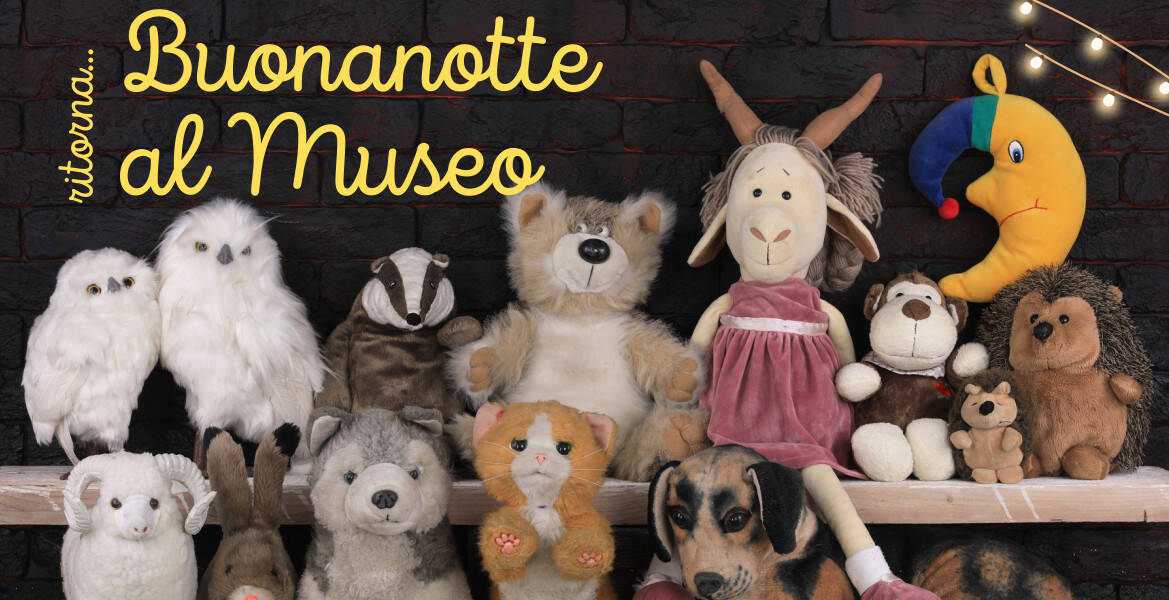 Immagine: Buonanotte al Museo