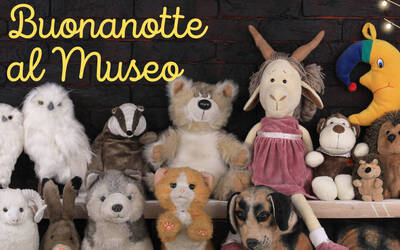 Immagine: Buonanotte al Museo