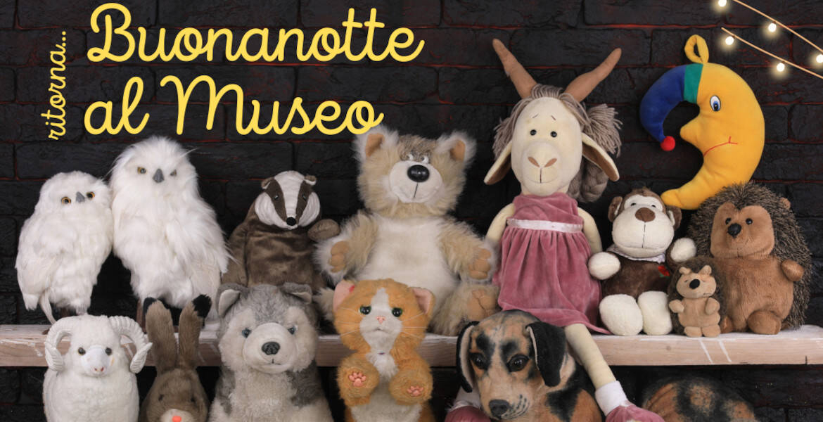 Immagine: Buonanotte al Museo