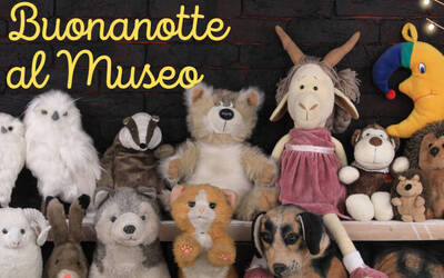 Immagine: Buonanotte al Museo