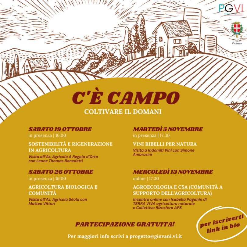 Immagine: C'è campo