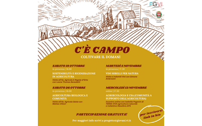 Immagine: C'è campo