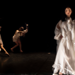 Immagine: Cani lunari