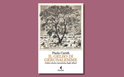 Immagine: Caridi presentazione