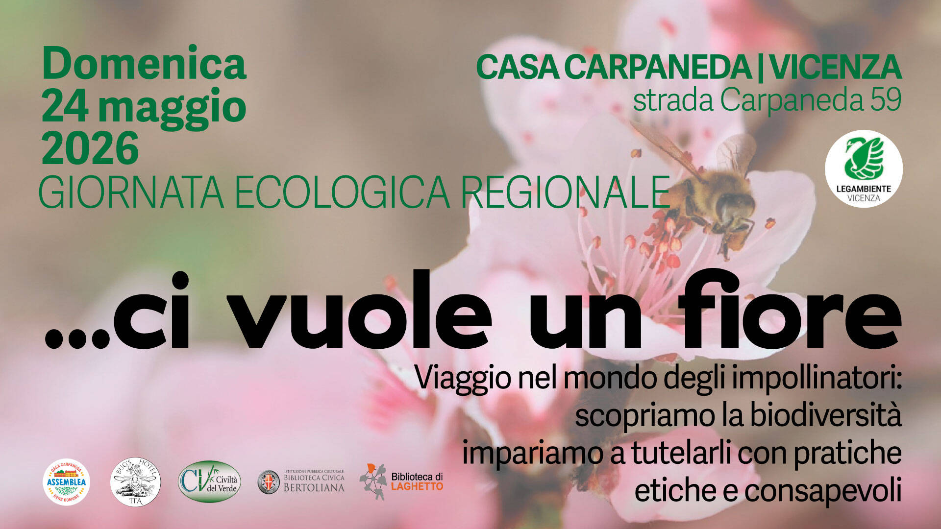 Immagine: Ci vuole un fiore