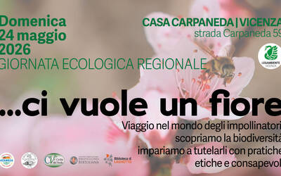 Immagine: Ci vuole un fiore