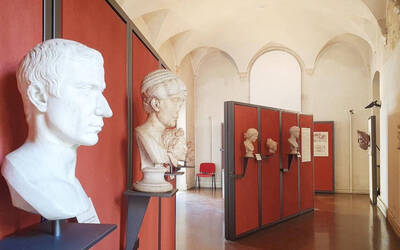 Immagine: collezione velo