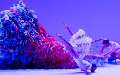 Immagine: Danza_Chicos_Mambo_Cenerentola_ph_Accentation Bruit