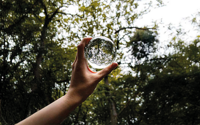 Immagine: Dedalo Minosse