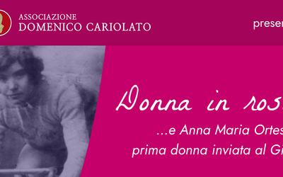 Immagine: Donna in rosa - evento