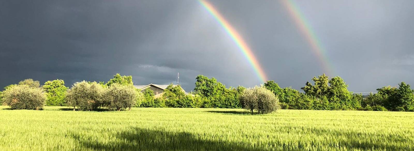 Immagine: Emergenza climatica