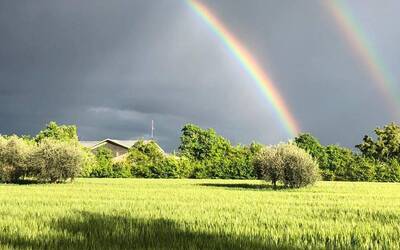 Immagine: Emergenza climatica