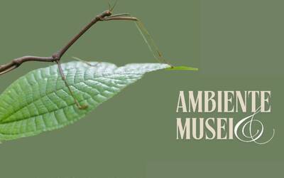 Immagine: famiglie a 6 zampe