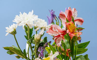 Immagine: Fiori & Colori