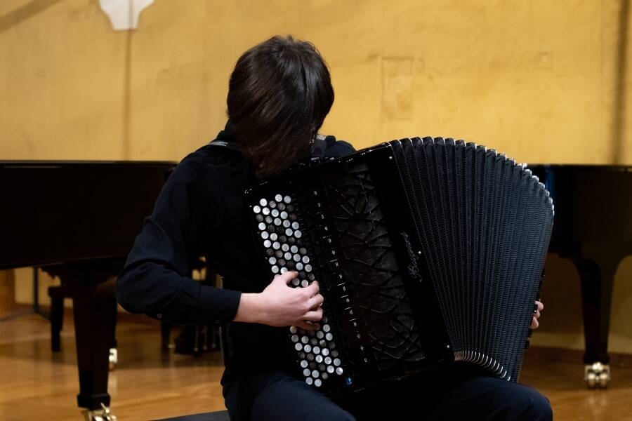 Immagine: Fisarmonica