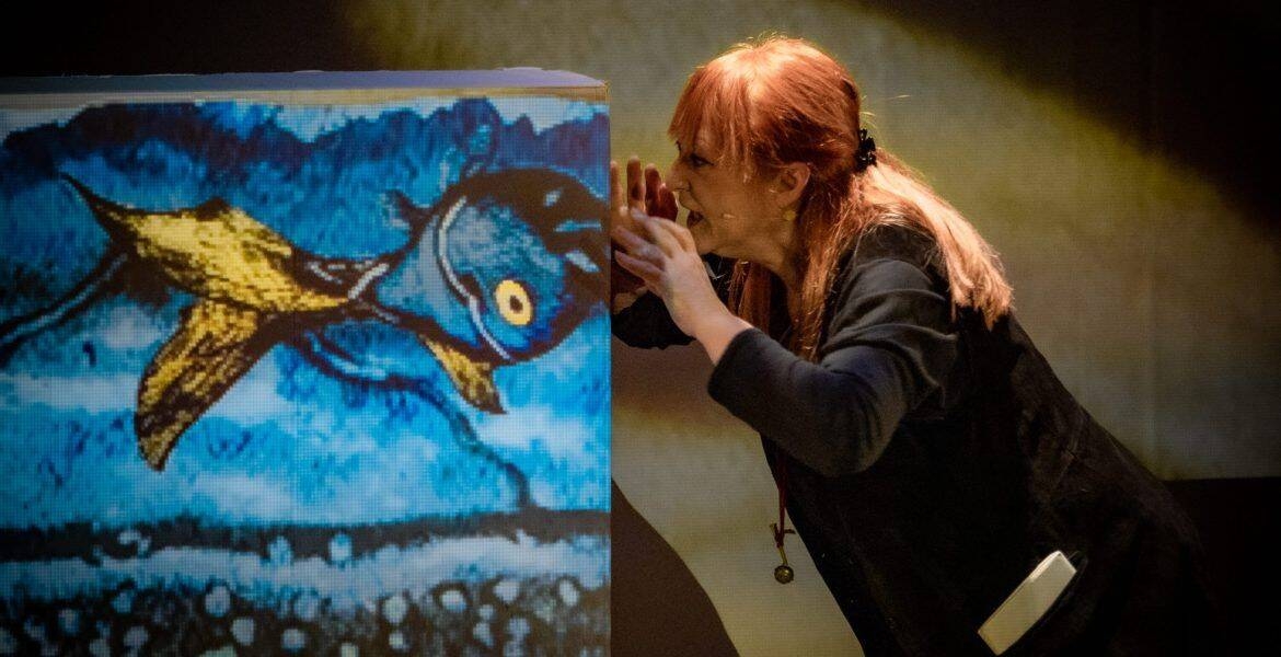 Immagine: Giallo Mare - Le avventure di pesce Gaetano