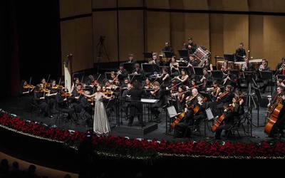 Immagine: Gran Concerto di San Silvestro