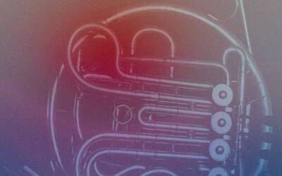 Immagine: I martedì