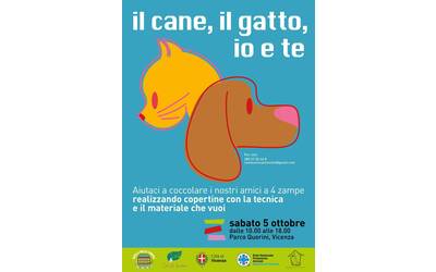 Immagine: Il cane, il gatto, io e te 