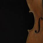 Immagine: IL DUO DI VIOLONCELLI