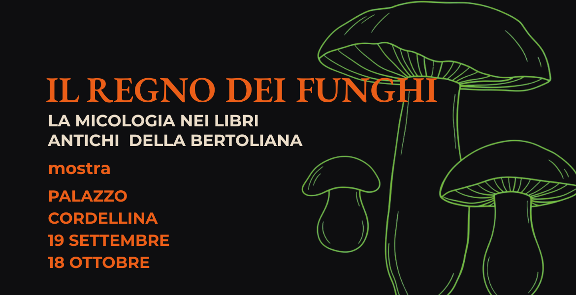 Immagine: Il regno dei funghi