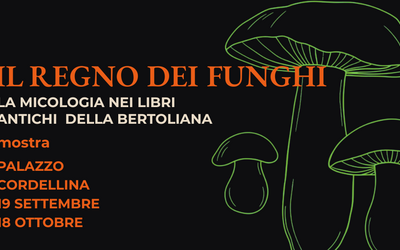 Immagine: Il regno dei funghi