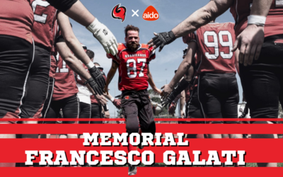 Immagine: Immagine sito