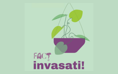 Immagine: Invasati