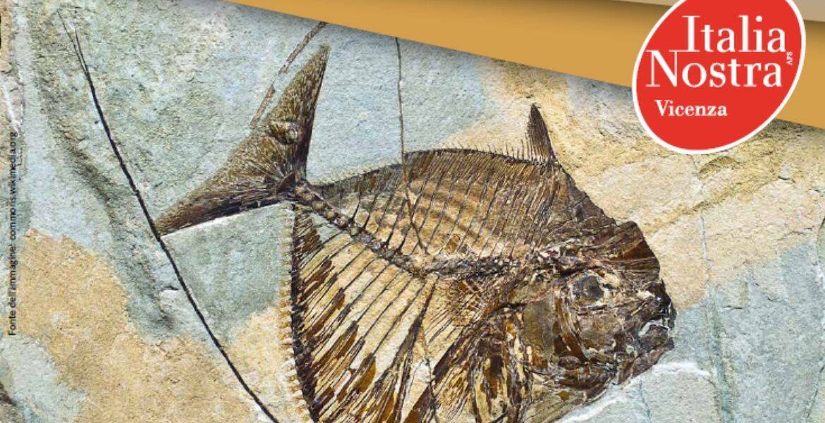 Immagine: Italia nostra_giacimenti