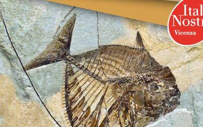 Immagine: Italia nostra_giacimenti