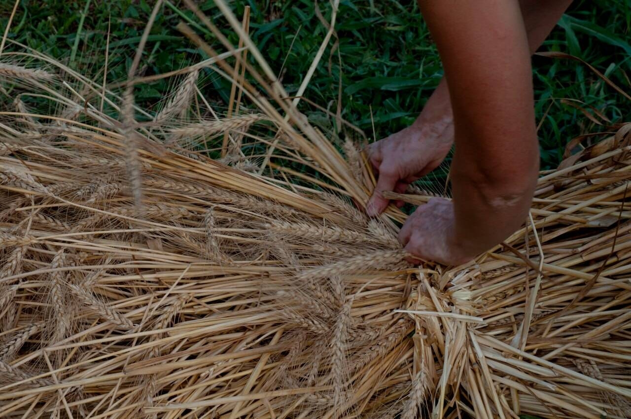 Immagine: La felicità di esistere