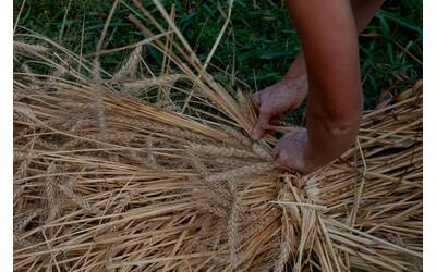 Immagine: La felicità di esistere