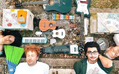 Immagine: La Piccionaia - 333 porcellini