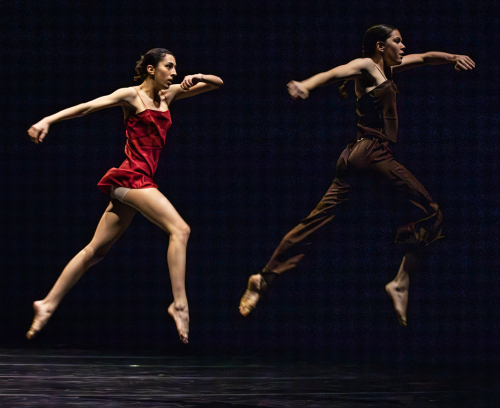 Immagine: last movement