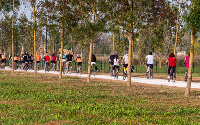 Immagine: Le vie dei campi