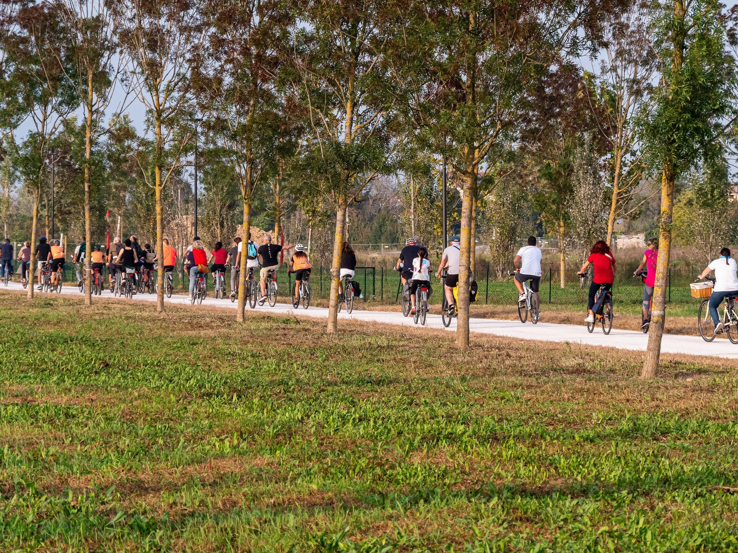 Immagine: Le vie dei campi