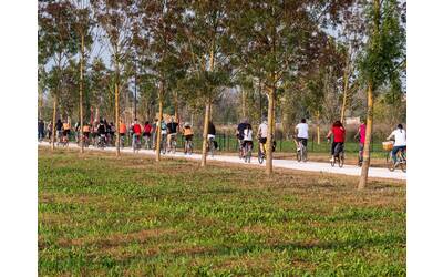 Immagine: Le vie dei campi